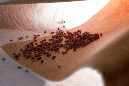 Pansamentele antimicrobiene MedCu cu oxid de cupru [5]