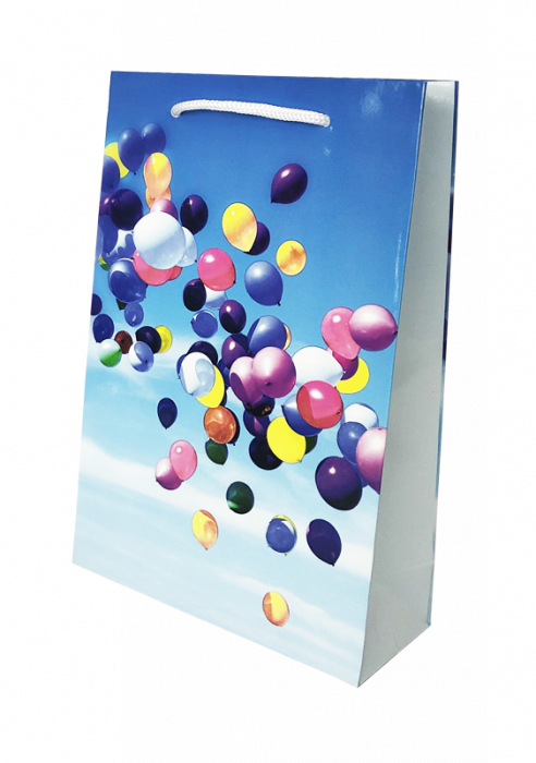 Punga cadou de hartie medie cu model vara - baloane [2]