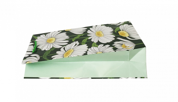 Punga cadou de hartie medie cu model vara - margarete [4]