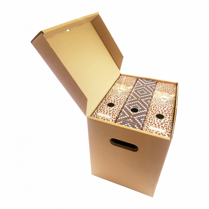 SET 10 Container (cutie) arhivare cu capac pentru 3 bibliorafturi [7]