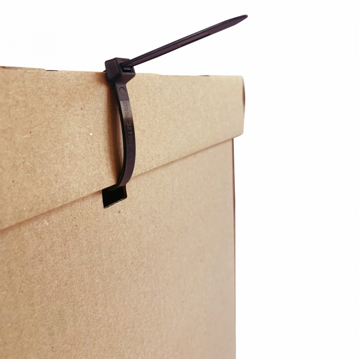 SET 10 Container (cutie) arhivare cu capac pentru 3 bibliorafturi [5]