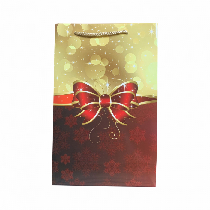 Punga de cadou medie cu Funda Craciun [3]