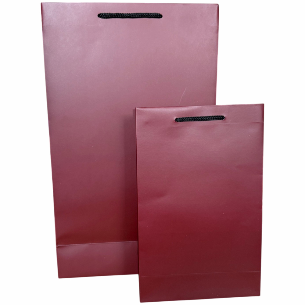 Punga cadou de hartie uni medie VISINIE [4]