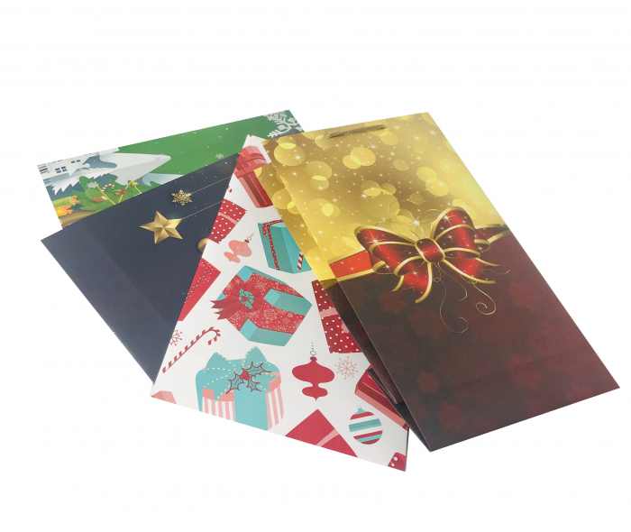 Set Punga de cadou mare cu modele variate Craciun [3]