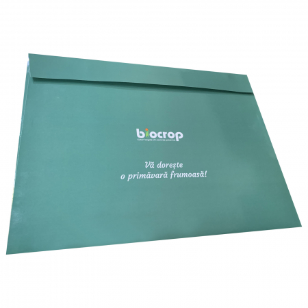 Plicuri personalizate - Plicuri personalizate