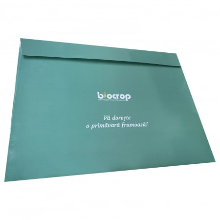 Plicuri personalizate - Plicuri personalizate