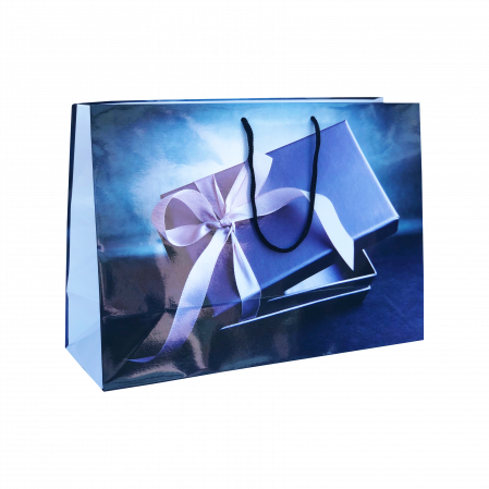 Pungi cadou MARI - Punga cadou de hartie mare cu model vara - cadou