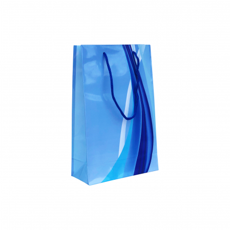 Pungi (LUX/kraft/hartie/PP) - Punga cadou de hartie medie cu model vara - marea