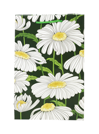 Punga cadou de hartie medie cu model vara - margarete [2]