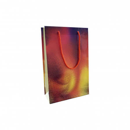 Pungi (LUX/kraft/hartie/PP) - Punga cadou de hartie medie cu model vara - spectrum