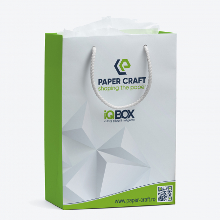 Pungi de cadou personalizate - Punga cadou de hartie personalizata economica