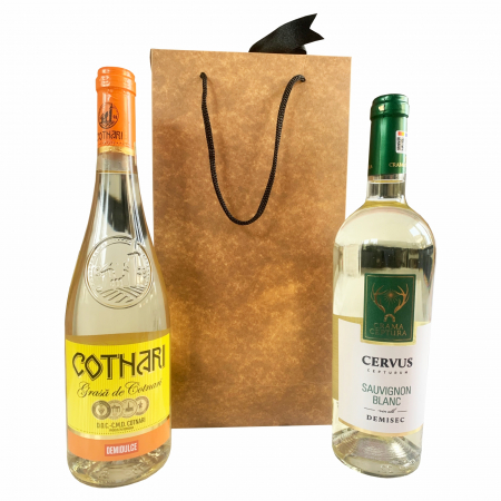 SET 10 Boxbag pungi cadou kraft natur pentru 2 sticle vin (35x18x9 cm) [1]