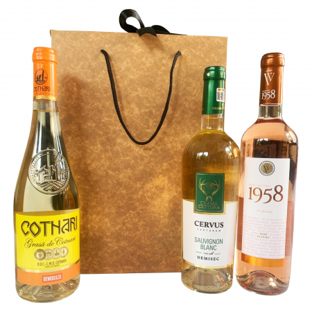 SET 10 Boxbag pungi cadou kraft natur pentru 3 sticle vin (35x25x9 cm) [1]