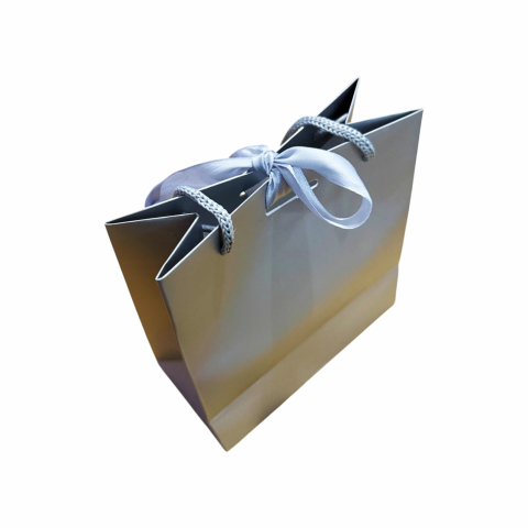 Punga cadou de hartie uni mica ARGINTIE [1]