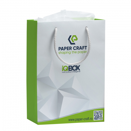 Pungi de cadou personalizate - Punga cadou de hartie personalizata mare