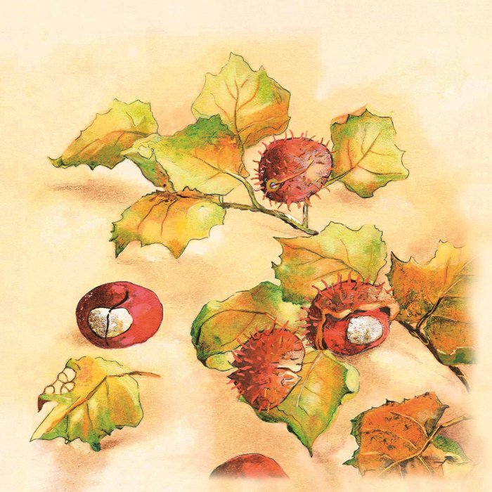 Ünnepi asztali szalvéták, Linclass – Gesztenye / 40 × 40 cm / 50 db   [2]