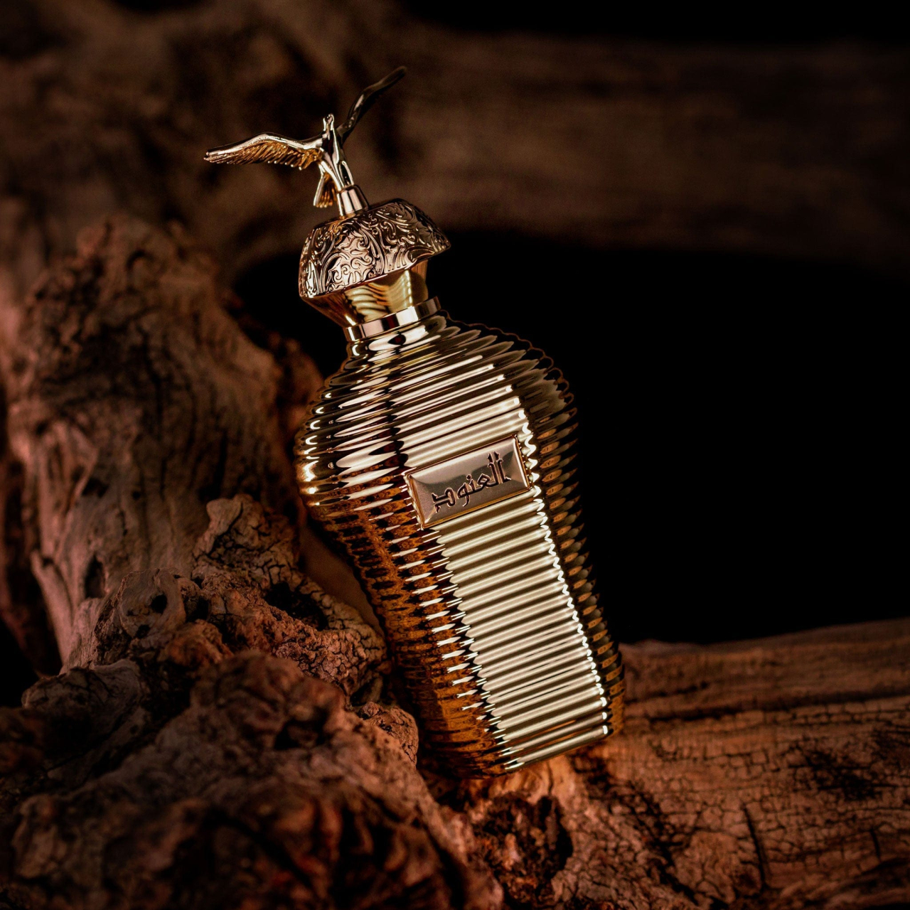 Alonoud Eau de Parfum 100ml [2]