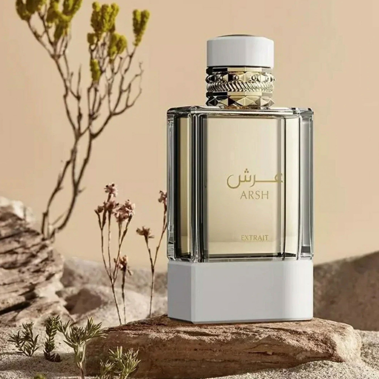 Arsh Extrait de Parfum 100ml [2]
