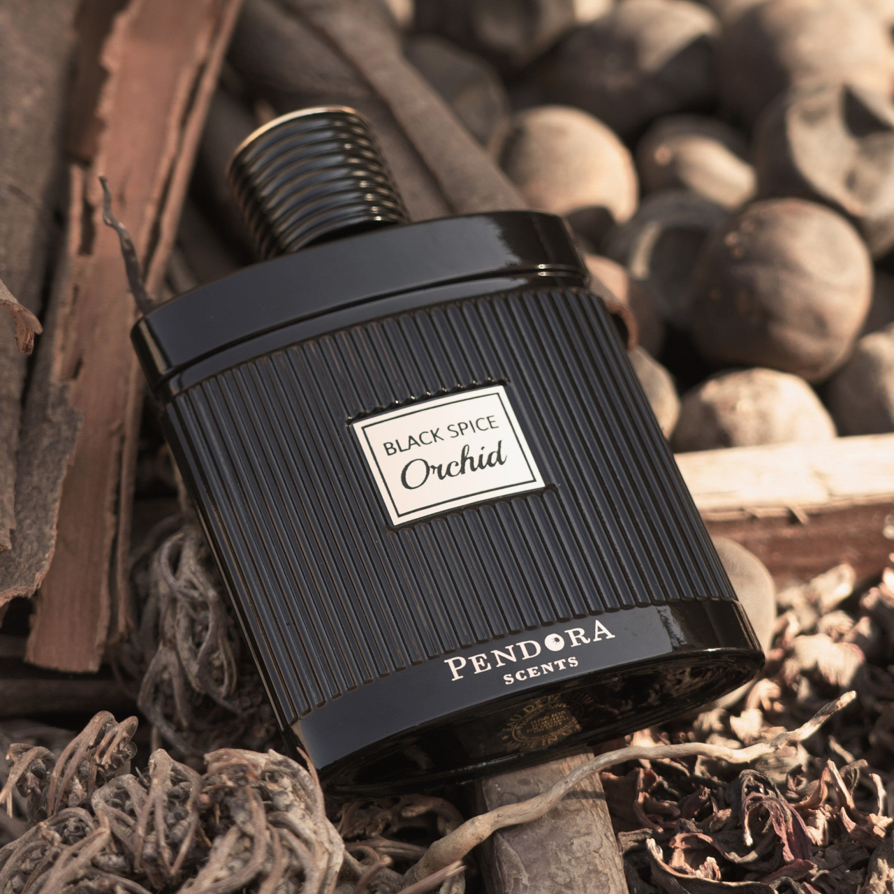 Black Spice Orchid 100ml [2]