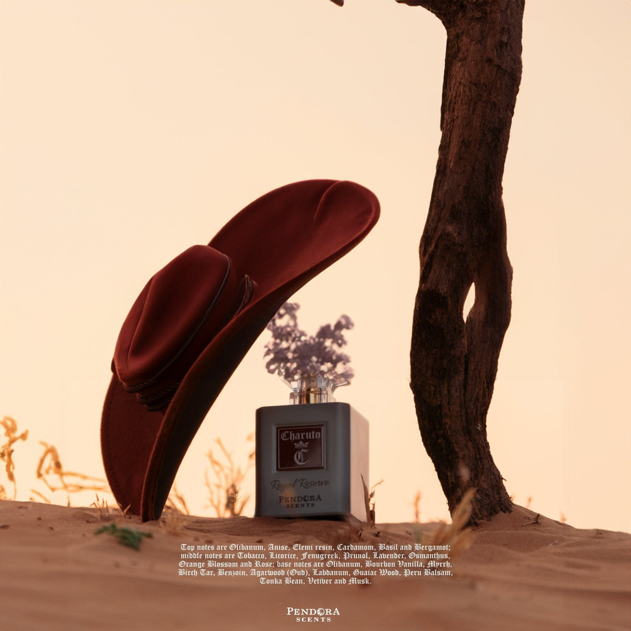 Charuto Regal Reserve Eau de Parfum 100ml [3]