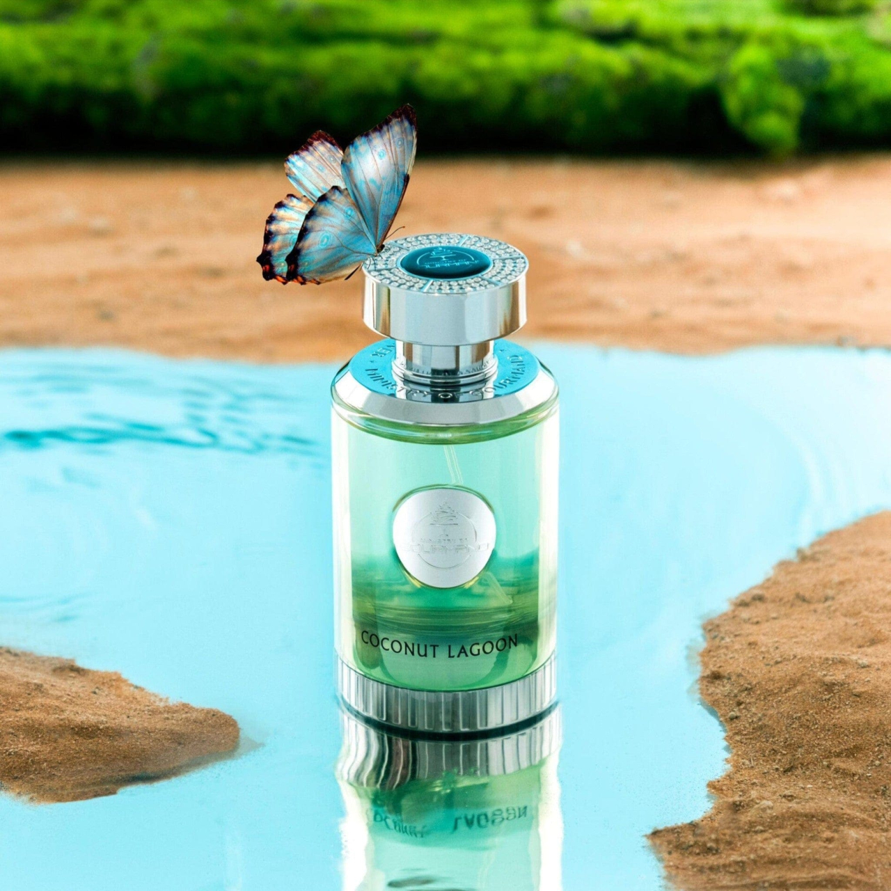 Coconut Lagoon 100ml [3]