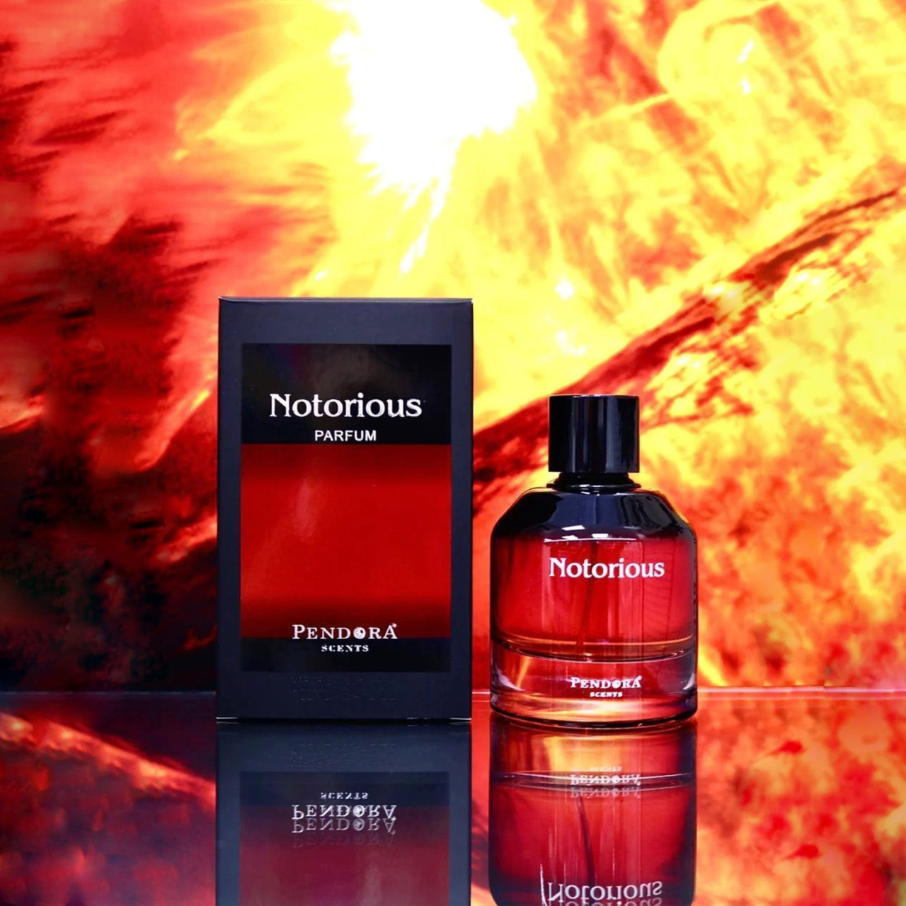 Notorious by Pendora Scents - parfum arabesc barbati - EDP 100 ml [3]