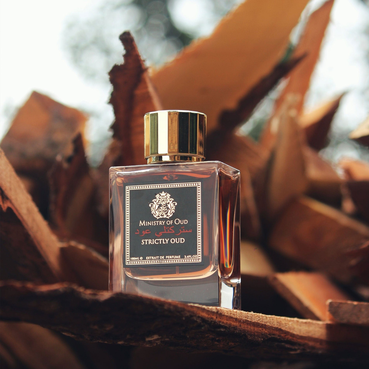 Strictly Oud Extrait de Parfum 100ml [2]