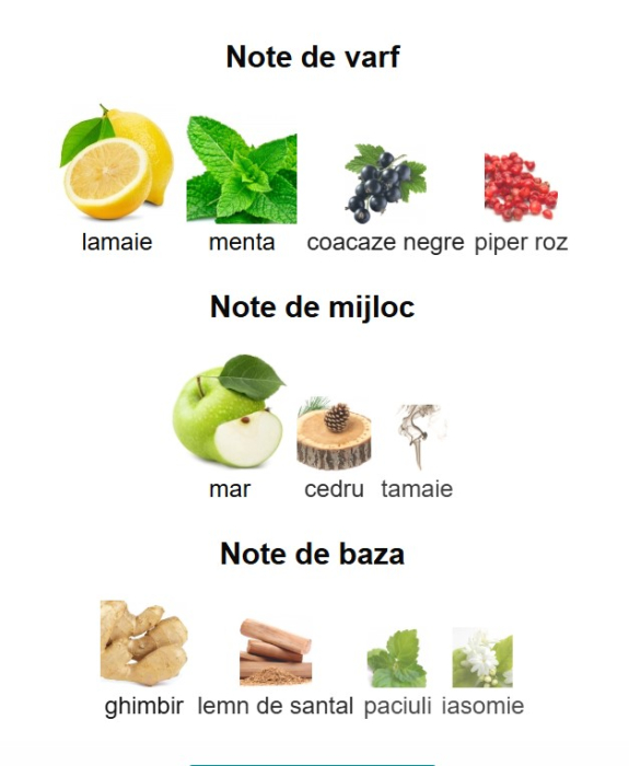 Afnan 9 AM Dive Unisex EDP 100ml [3]