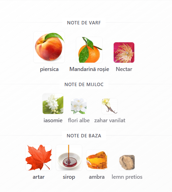 rose-de-soleil-riiffs-apa-de-parfum-femei-100ml [3]