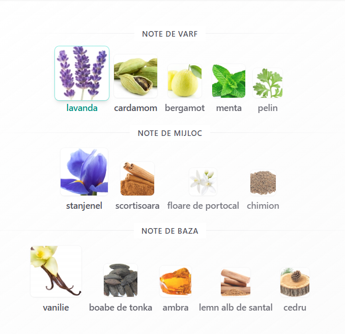 Fragrance World John Gustav Homme Scandant Men EDP 100ml [3]