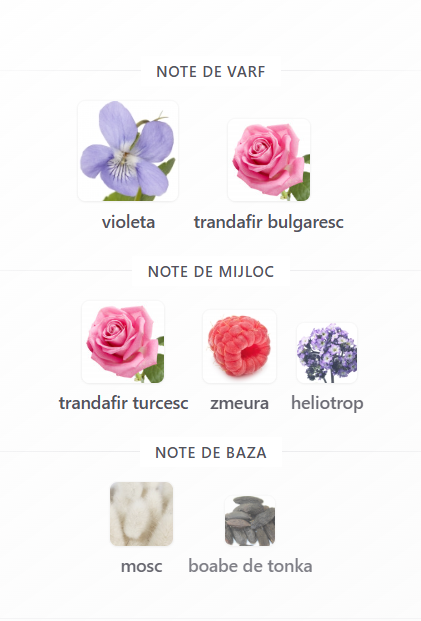 Fragrance World Pose As Rose Unisex EDP 100ml [3]