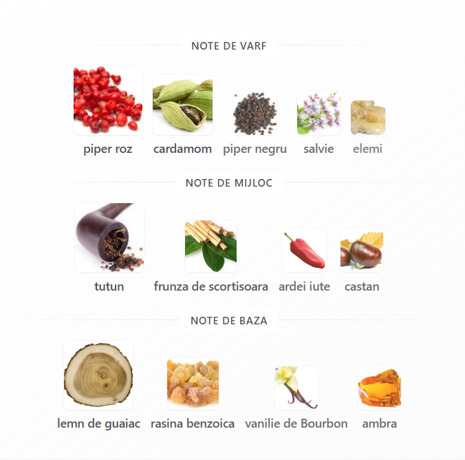 Fragrance World Proud of You Tobacco Men EDP 100ml [3]