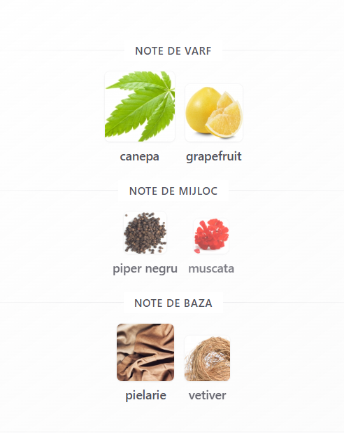 Fragrance World Star Bad Lad Le Parfum Men EDP 100ml parfum barbati [3]