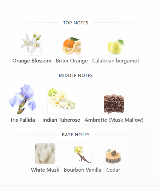 Fragrance World UR Way Women EDP 100ml parfum femei elegant [3]