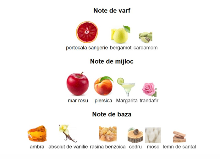 French Avenue Aromatix Forbidden Fruit Unisex PARFUM 100ml [3]