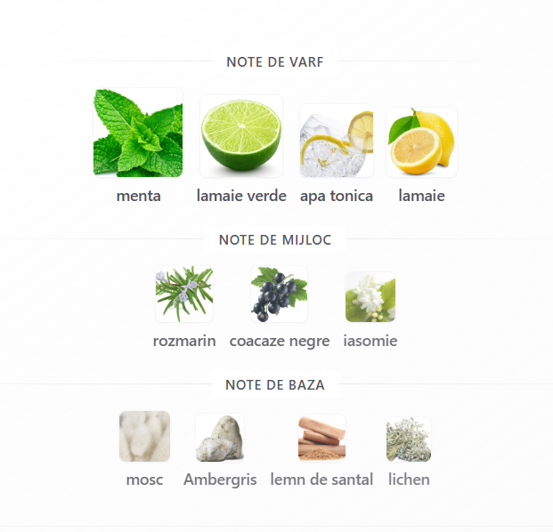 French Avenue Aromatix Platine Blanc Extrait de Parfum 100ml – Parfum Arabesc Original [3]