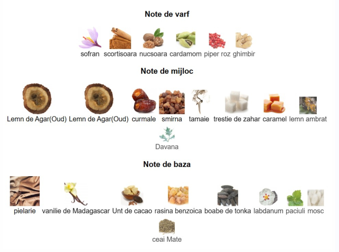 French Avenue Cocoa Morado [3]