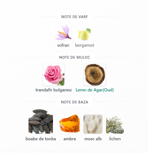 French Avenue Cosmic Tonka Unisex EDP 100ml – sticlă parfum original [3]