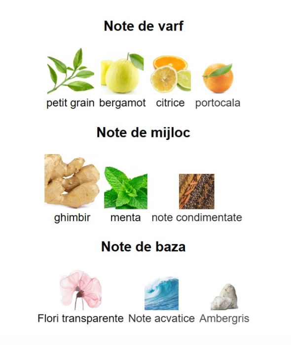 French Avenue Essence De Blanc Unisex EDP 100ml [3]