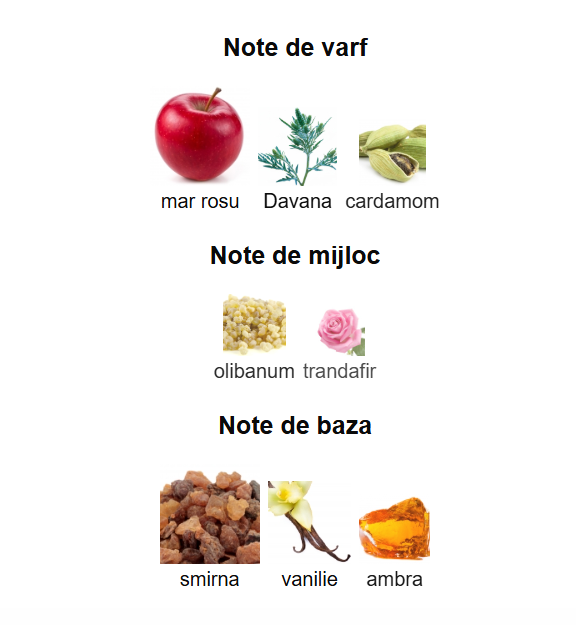 French Avenue Firestorm Unisex EDP 100ml [3]