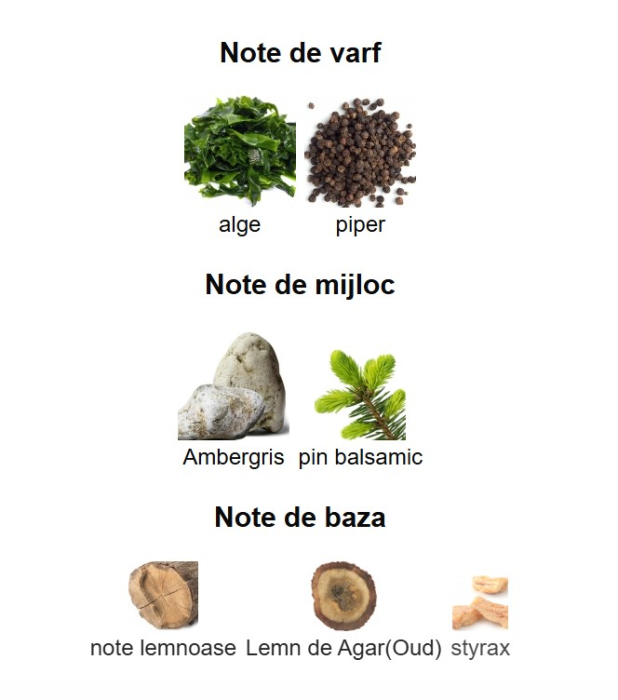 French Avenue Genesis Aquarius Unisex EDP 90ml [3]