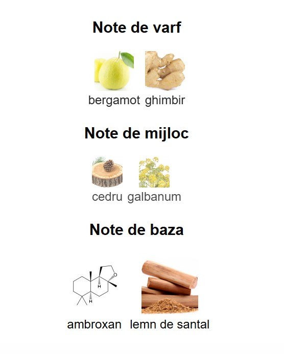 French Avenue Genesis Gemini Unisex EDP 90ml [3]