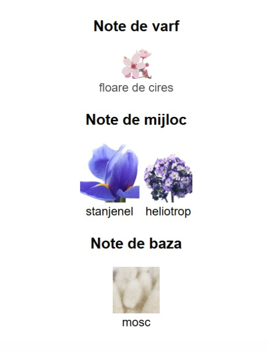 French Avenue Genesis Sagittarius Unisex EDP 90ml [3]