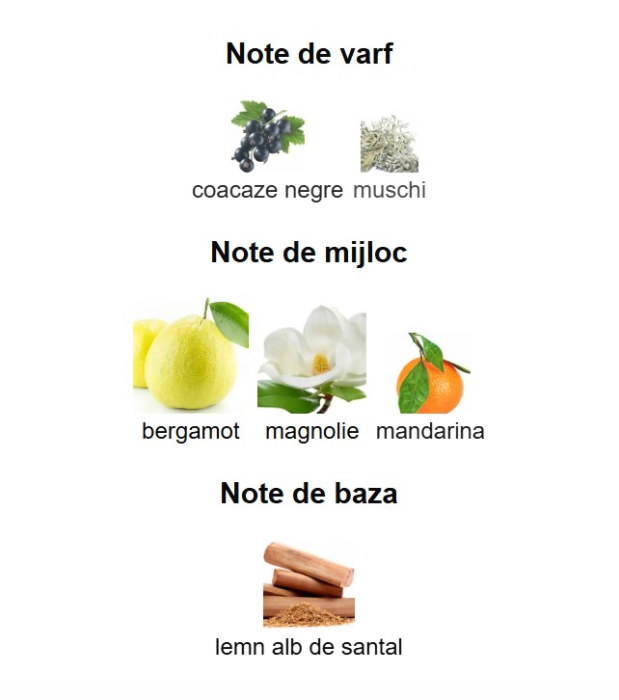 French Avenue Glorious Oud Royal Blanc Unisex EDP 80ml [3]