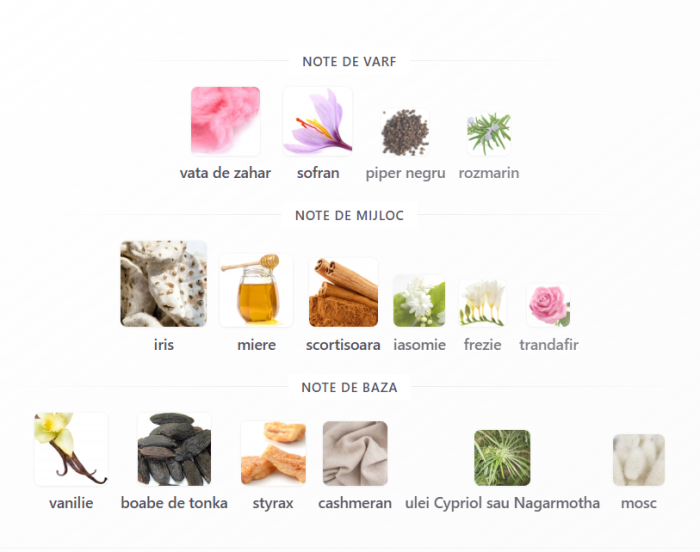 French Avenue Hypnotic Gold Unisex EDP 100ml – sticlă parfum original [3]