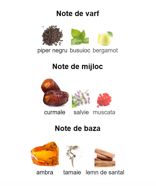 French Avenue Lumiere Garcon Unisex EDP 100ml [3]