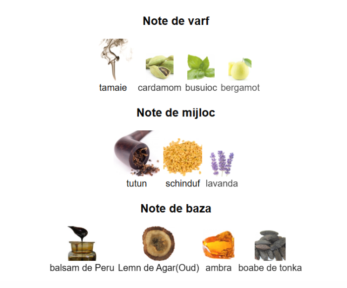 French Avenue Opus Magnum Unisex EDP 100ml [3]