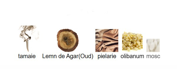 French Avenue The Fire [3]