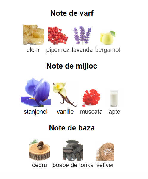 French Avenue Thunder Men EDP 100ml [3]