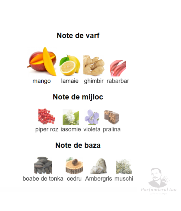 French Avenue Vulcan Feu Unisex EDP 100ml [3]